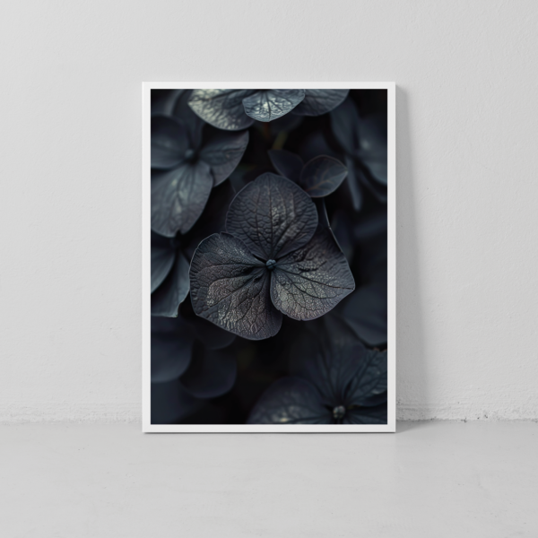 Black Hydrangea #3 [Digital]